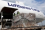 Lufthansa hat Troubles mit SunExpress | boerse-express.com